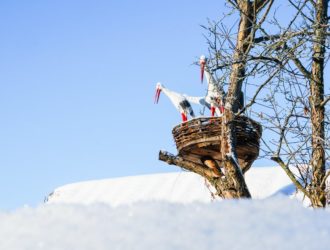 Фотография аистов добавлена в раздел «Популярное» на сайте 500px
