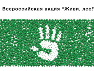 У Обелиска Славы проведут экологическую акцию «Живи, лес!»