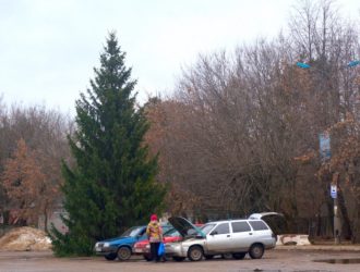 На площади Свободы установлена новогодняя ель