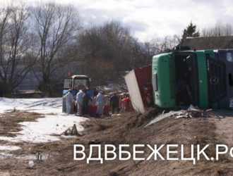 На трассе Бежецк – Максатиха перевернулась фура со свиньями