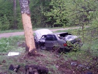В Максатихинском районе автомобиль врезался в дерево — погиб водитель