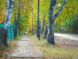 В посёлке Максатиха задержали двух братьев, избивших и ограбивших прохожих